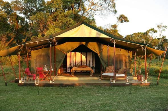 elephant pepper camp mara