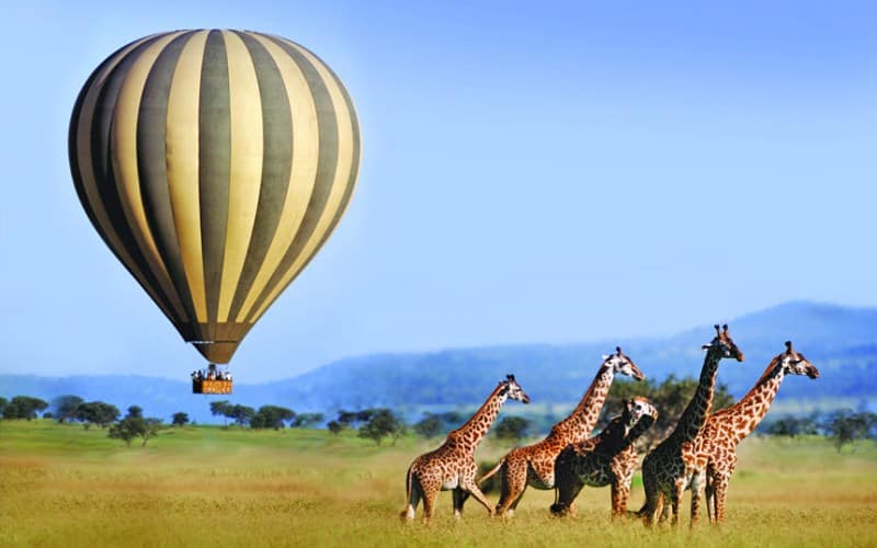 maasai mara balloon