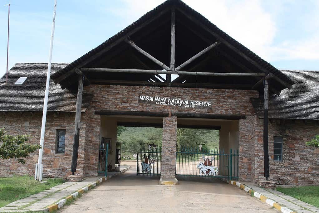 maasai mara reserve