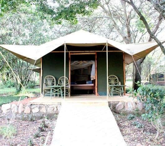 mara springs safari camp