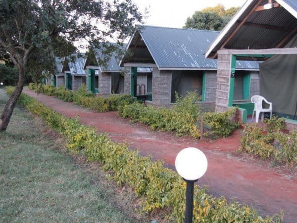 rhino tourist mara camp