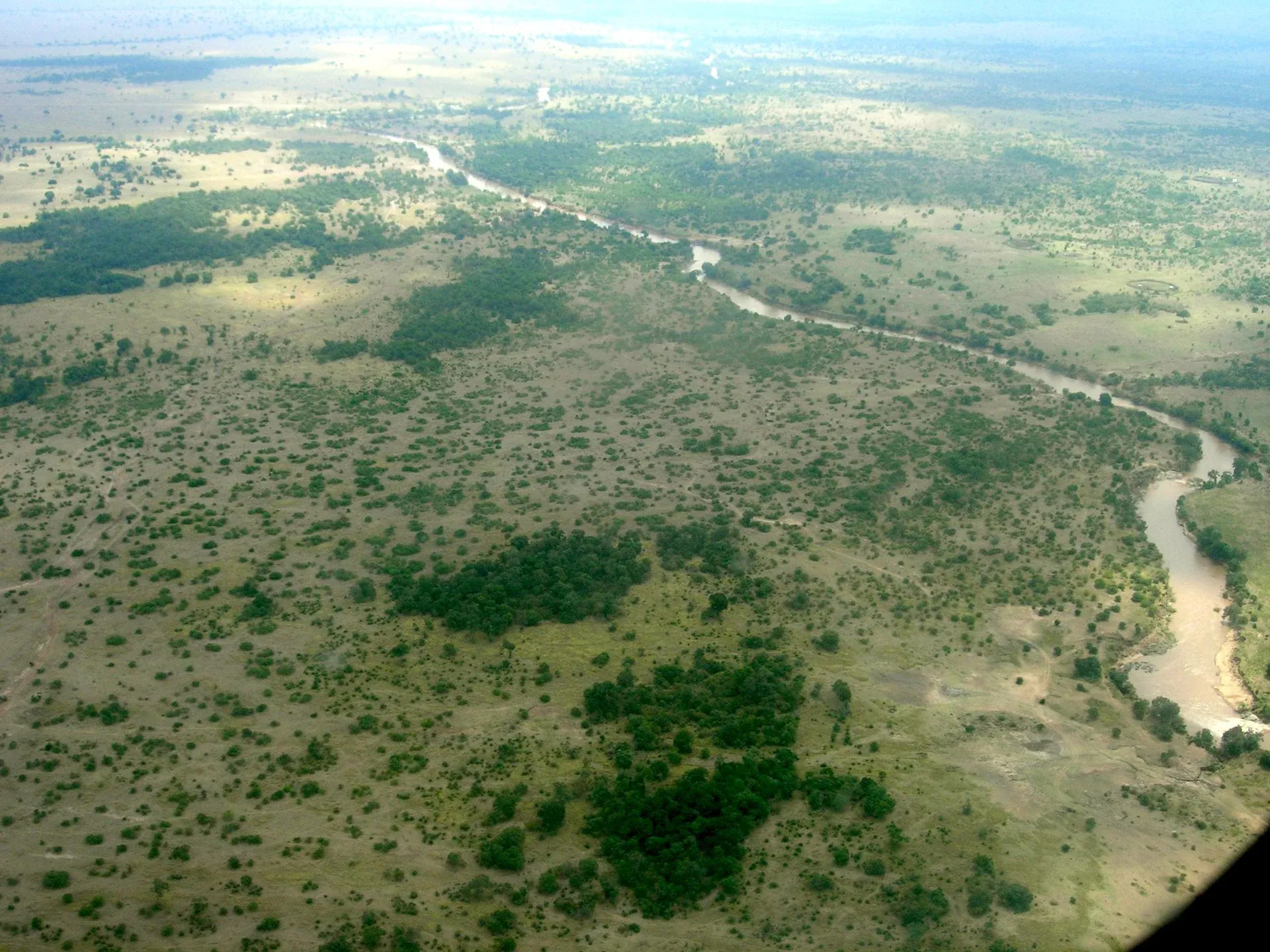 Maasai Mara activities landscape: aerial view of the Mara River winding through grassland and trees
