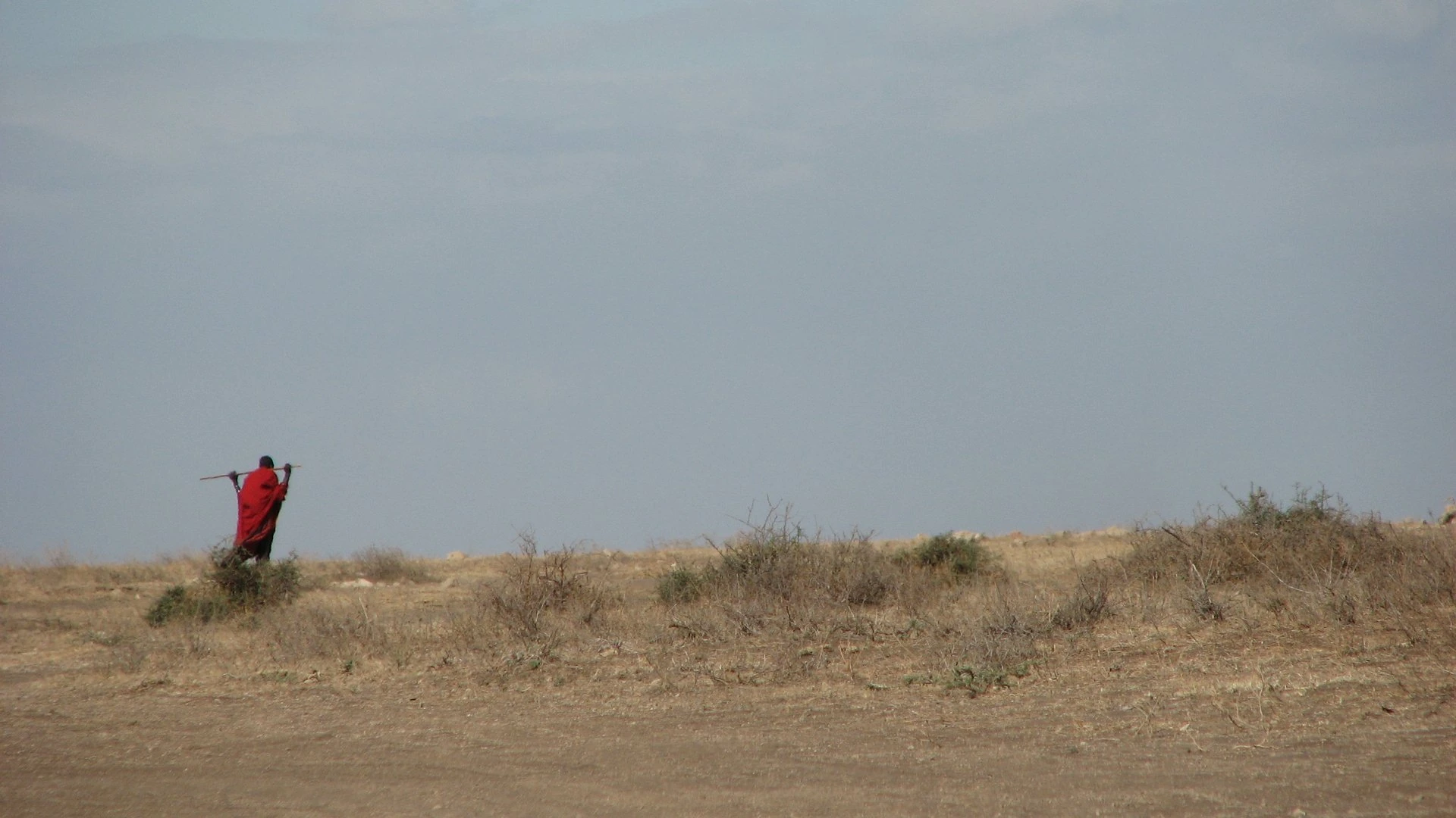 Angama Airstrip 1 Angama Airstrip guide: Maasai man walking across a dry plain in the Serengeti