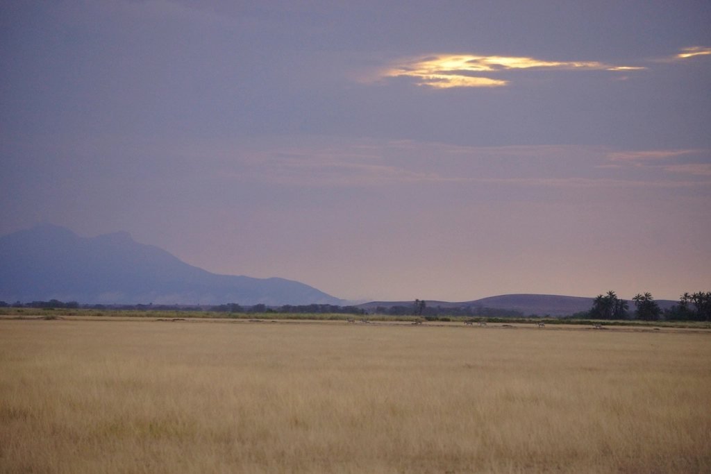Dry grassland beneath a purple sunset sky and distant hills, for the Maasai Mara vs Amboseli guide