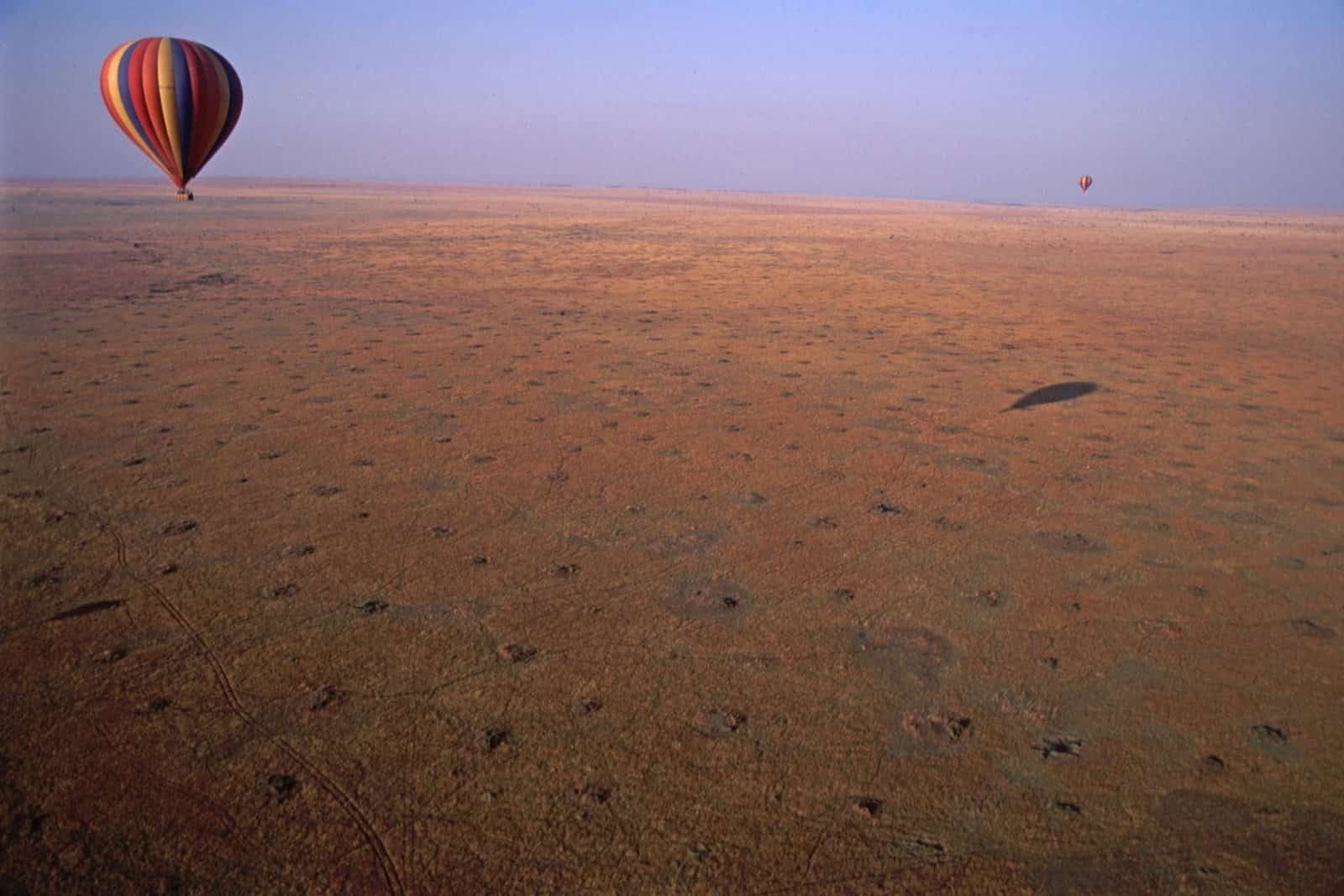 Discover the Maasai Mara 8 Maasai Mara in August guide: a striped hot-air balloon floating low over golden grassland at dawn, seen from another balloon