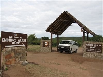 Enchoro Wildlife Camp entrance with named signs, a thatched gateway and safari vehicle