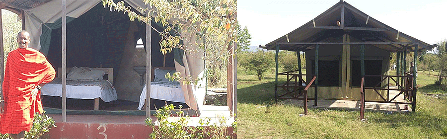 Maasai Mara lodges and camps 7 Destiny Eco Camp Mara paired photographs of furnished canvas tents with verandas