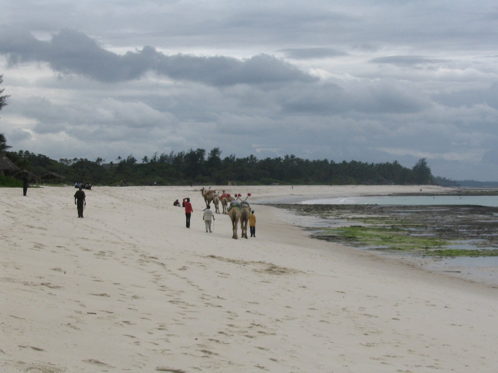 Diani Beach on Kenya’s Indian Ocean coast