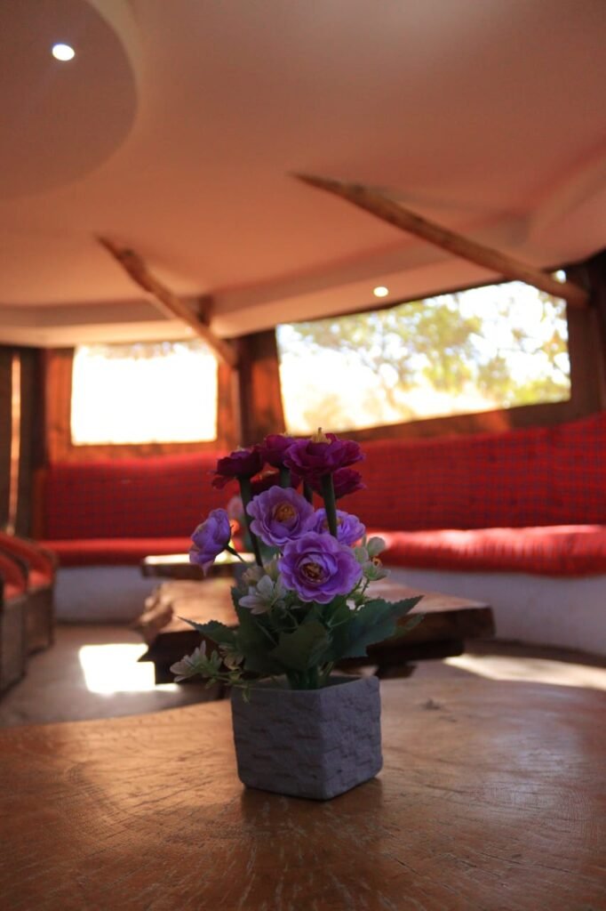 Elangata Olerai lounge beneath canvas with red seating and a flower arrangement