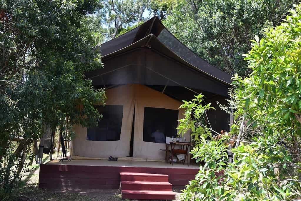Maasai Mara lodges and camps 9 Elephant Pepper Camp Safari Tent veranda beneath leafy trees