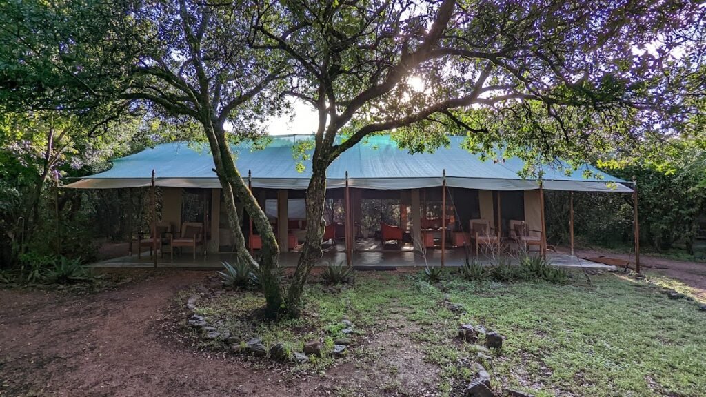 Encounter Mara Camp shared canvas structure among acacia trees