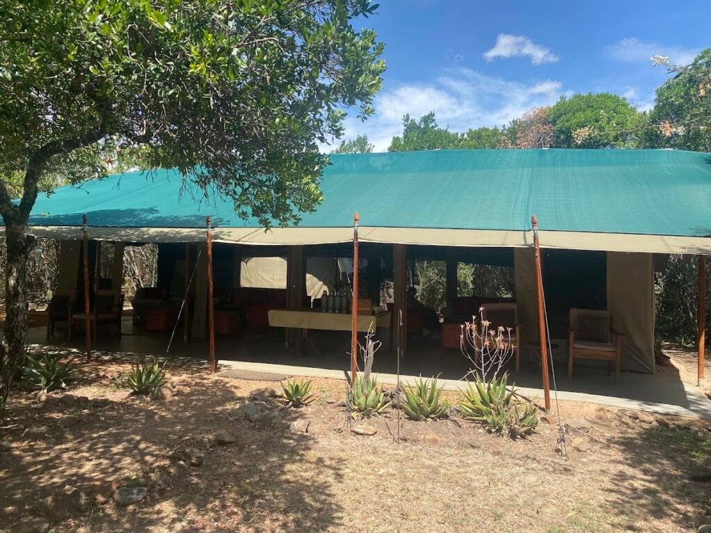Maasai Mara lodges and camps 11 Encounter Mara Camp canvas tent and shaded veranda beneath trees