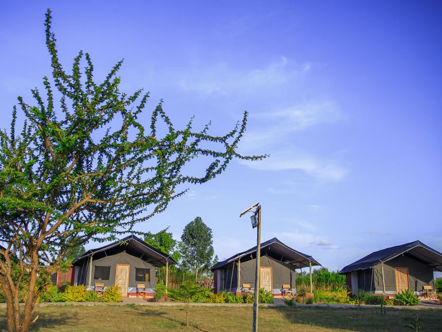 Endeem Mara Resort guest tent exteriors with verandas and garden paths