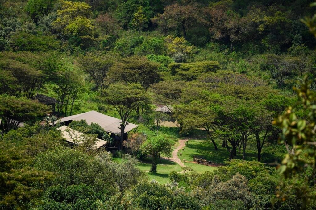 Maasai Mara lodges and camps 25 Entumoto Safari Camp communal canvas roofs and pathways in a wooded valley