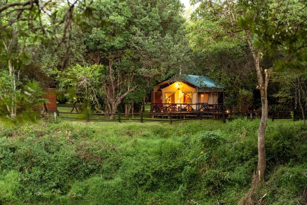 Fairmont Mara Safari Club riverfront canvas tent with a timber deck among trees