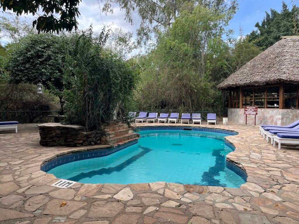 Fig Tree Camp shared swimming pool with sun loungers and a thatched poolside shelter