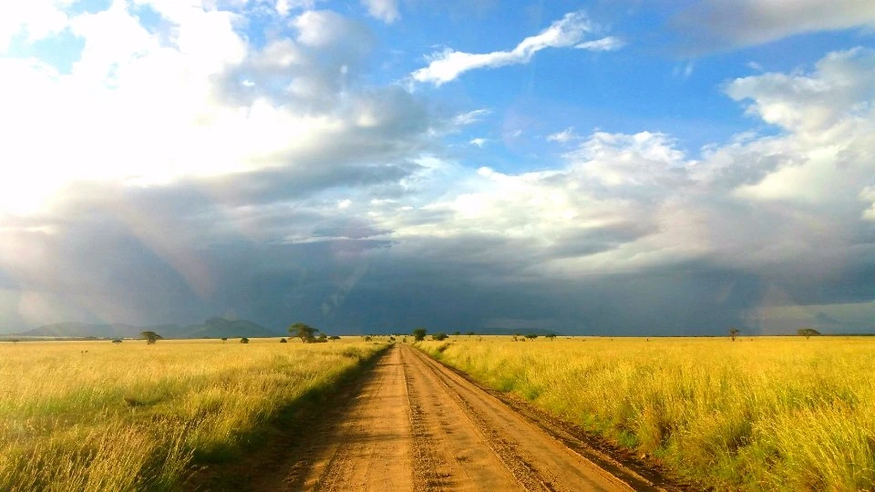 Sekenani Gate 1 Sekenani Gate guide: track through Serengeti grassland beneath rain clouds