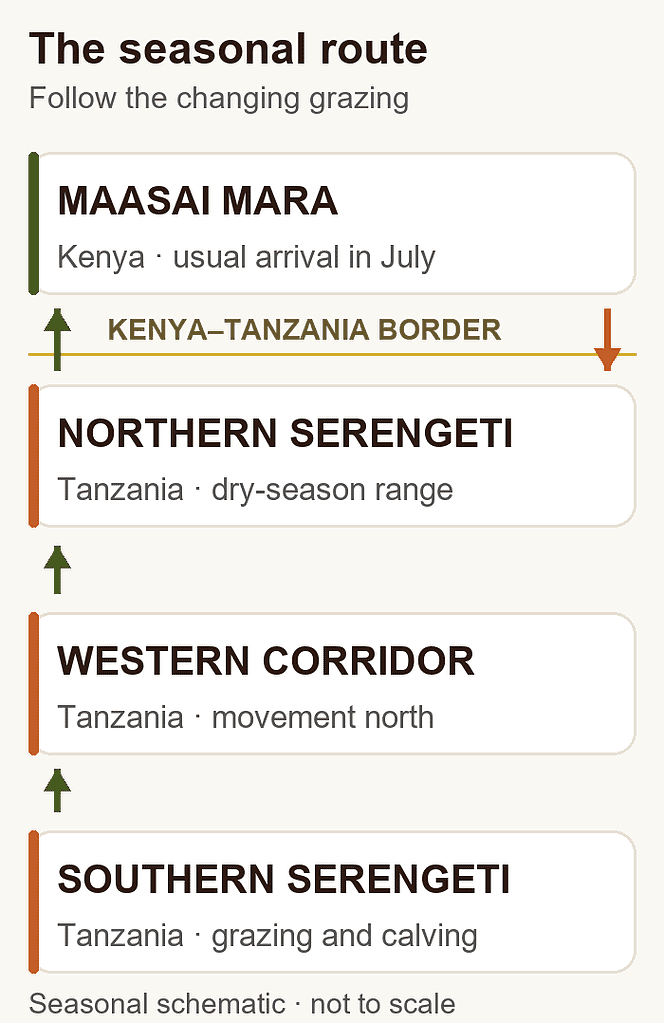 Great Migration seasonal route schematic linking the southern Serengeti, Western Corridor, northern Serengeti and Maasai Mara