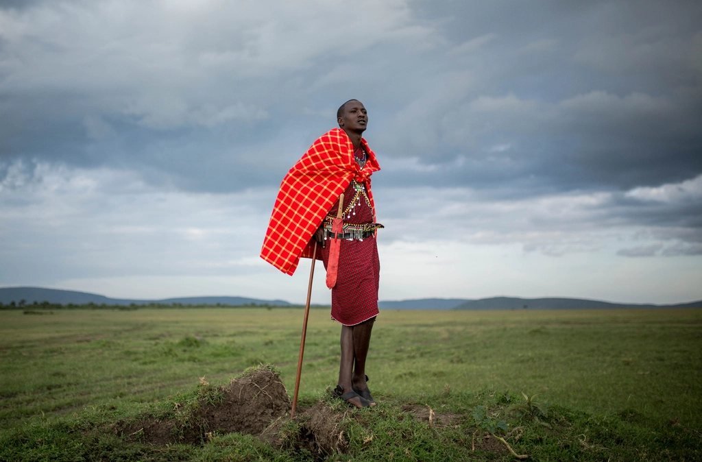 Maasai people: 5 essential details for respectful Mara visits 1 Maasai man with a walking stick looking across a grassland landscape; Maasai people guide