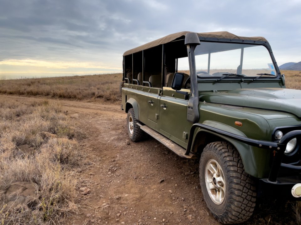 Maasai Mara lodges and camps 1 Lodges guide: safari vehicle parked on a dry grassland track