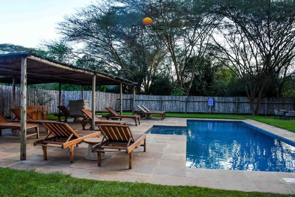Ilkeliani Camp swimming pool with loungers beside the shaded garden