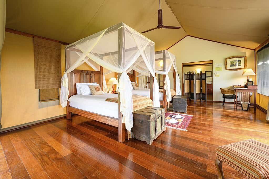 Maasai Mara lodges and camps 44 Olare Mara Kempinski canvas tent interior with twin netted beds and wooden flooring