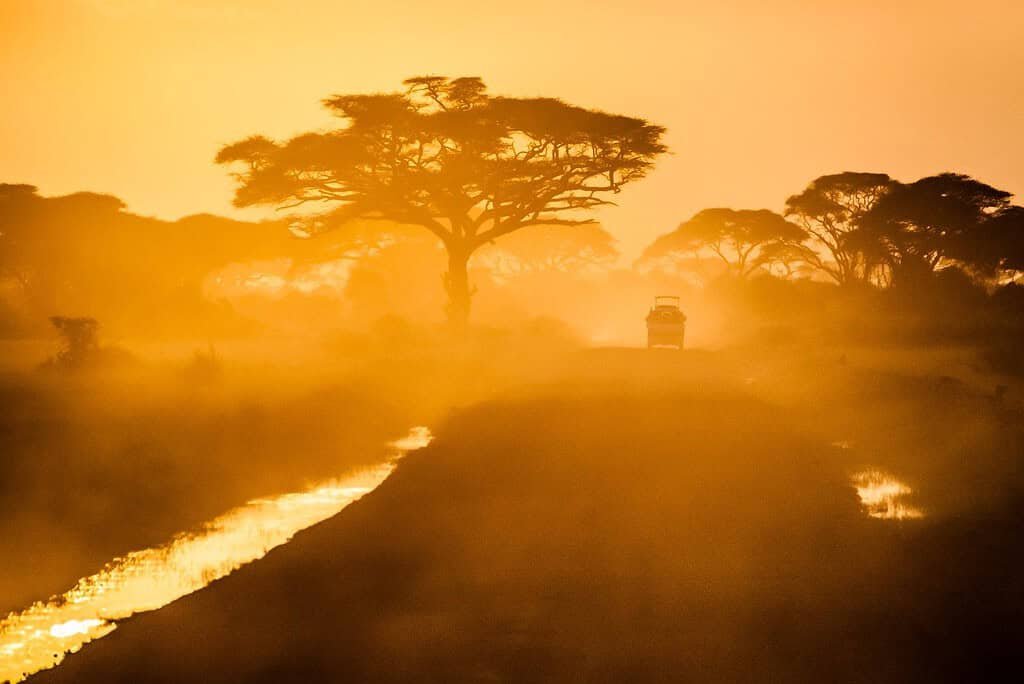 Maasai Mara frequently asked questions 4 A safari vehicle driving along a dusty track between acacia trees at sunrise