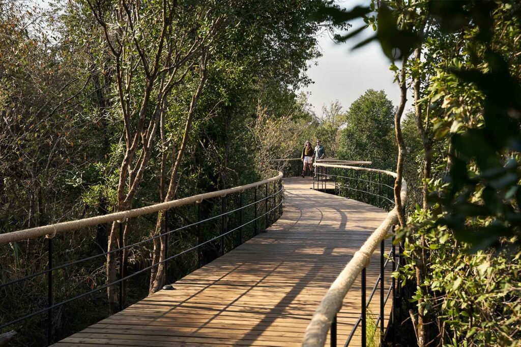 Timber walkway through riverbank trees at Kinara Safari Camp