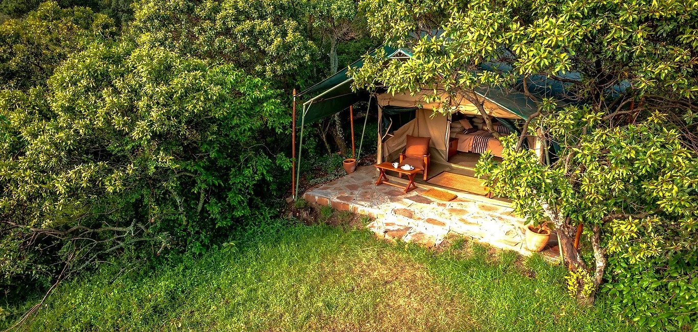 Losokwan Camp canvas tent beneath trees, with veranda chairs and a visible bed