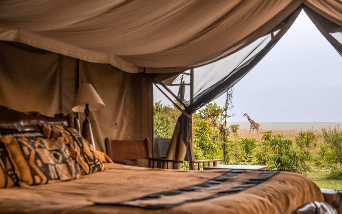 Classic Mara Explorer 8 A tent bedroom opening onto a green landscape
