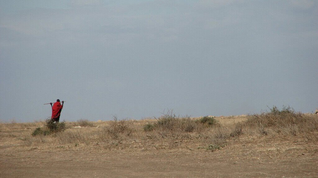 A Maasai man in a red shuka walking with a stick across a dry, bushy plain