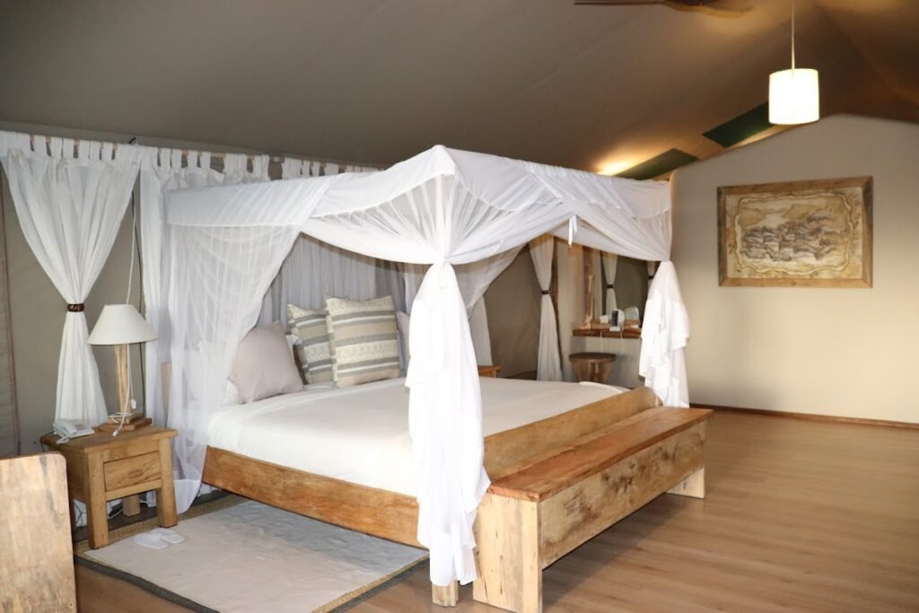 Mara Maisha Camp double tent with a timber bed and white mosquito net