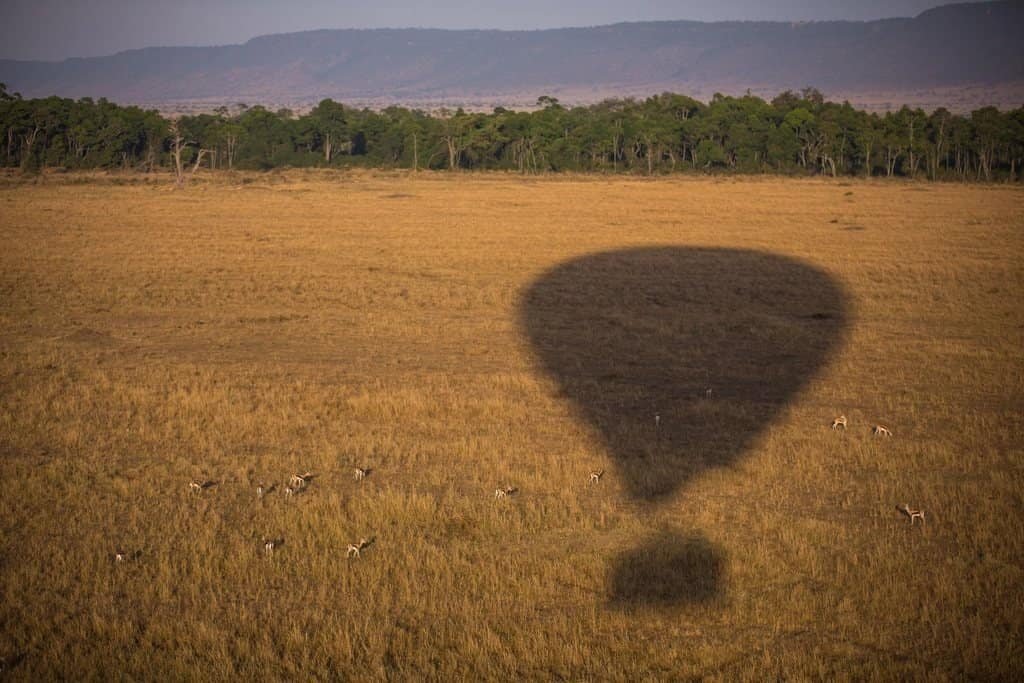 The shadow of a hot-air balloon falling on golden grassland, with a line of trees and hills beyond