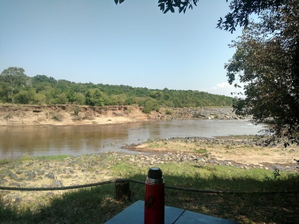 Wider Maasai Mara riverbank landscape, illustrative safari context