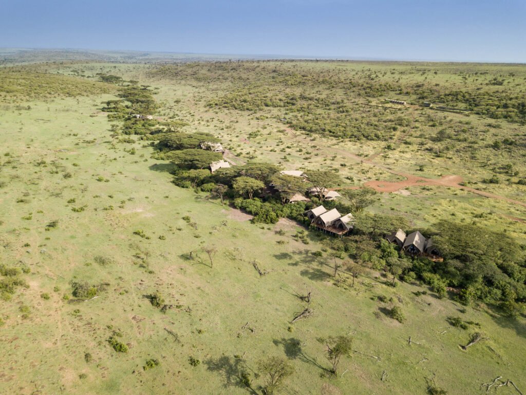 Mara Nyika Camp elevated canvas suites among umbrella-thorn trees seen from above