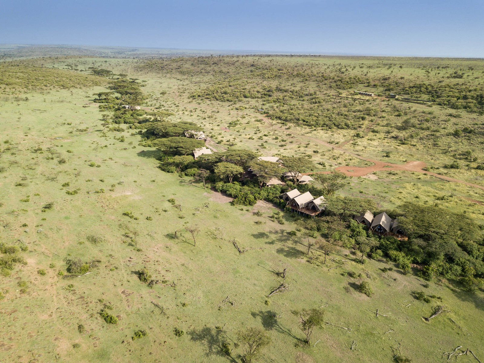 Mara Nyika Camp elevated canvas suites among umbrella-thorn trees seen from above