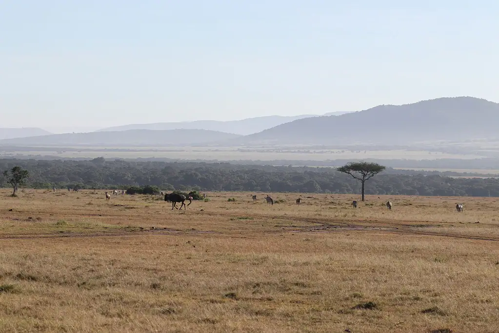 Open plains with scattered acacia trees, grazing herds and distant hills in the morning haze