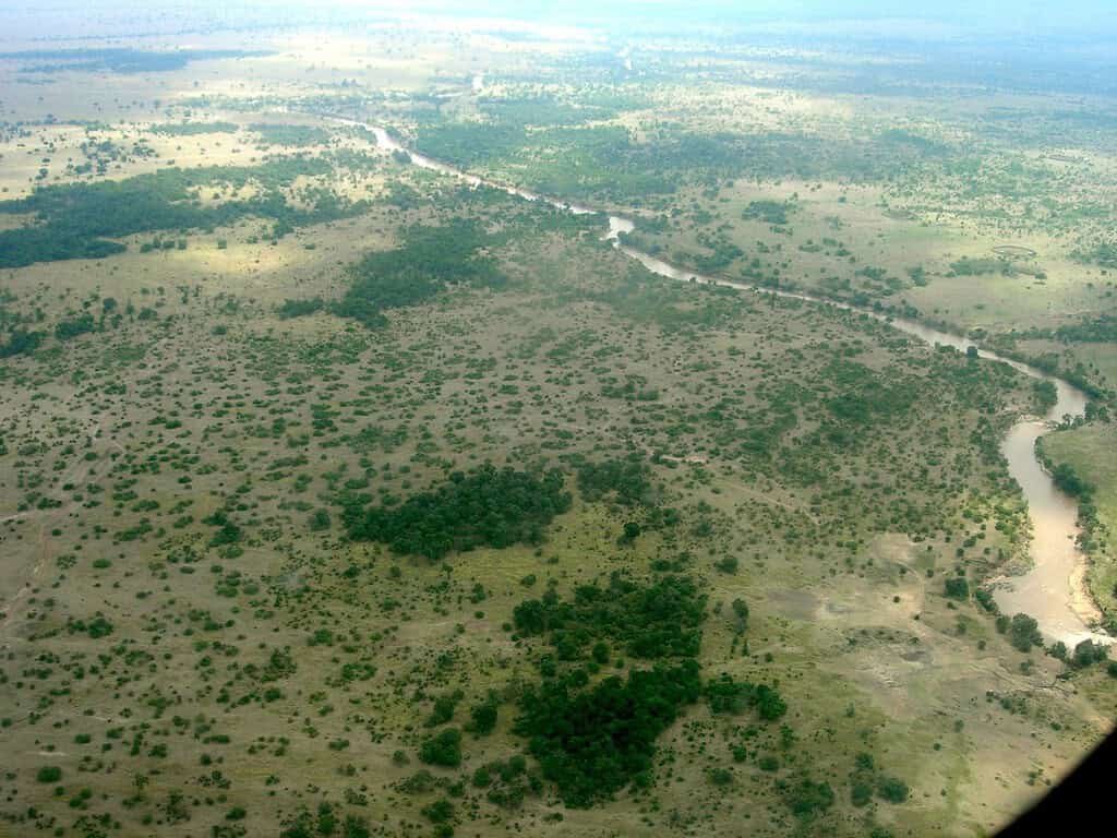 Aerial view of the Mara River winding through green savanna and woodland in the Maasai Mara