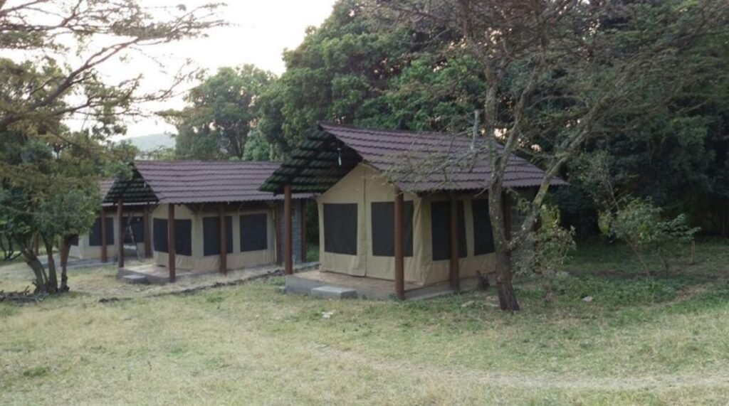 Mara Springs Safari Camp furnished tented rooms beneath trees in the camp grounds