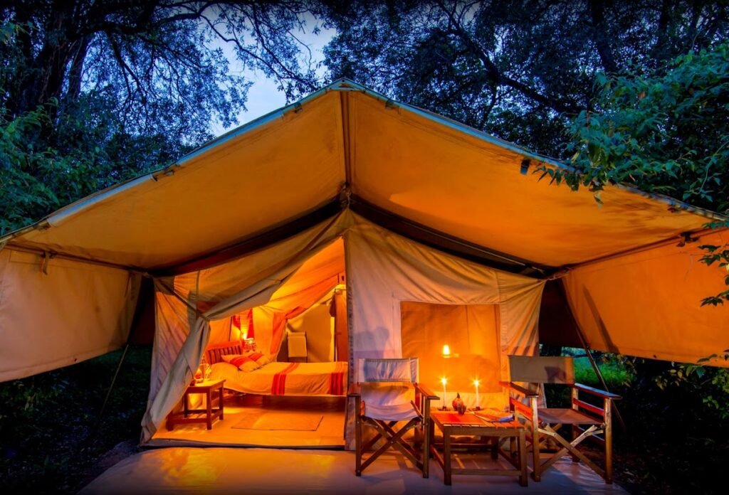 Matira Bush Camp tent illuminated beneath trees at dusk