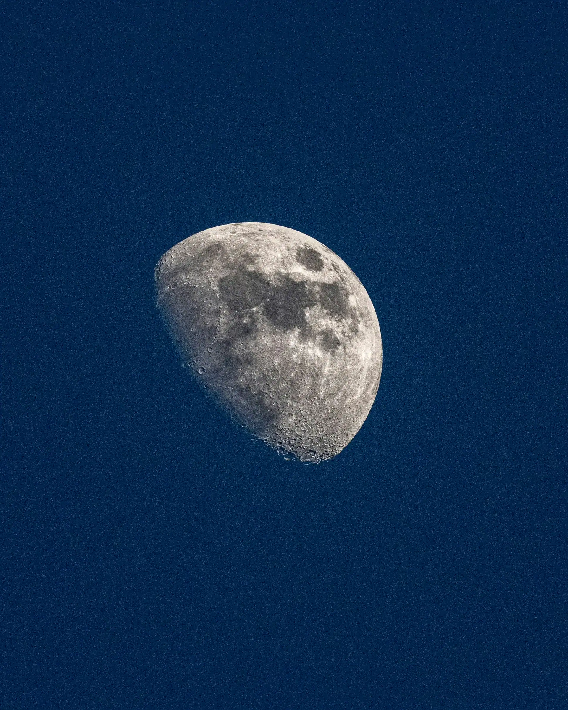 Gibbous moon against a deep blue night sky, the after-dark setting for a night game drive