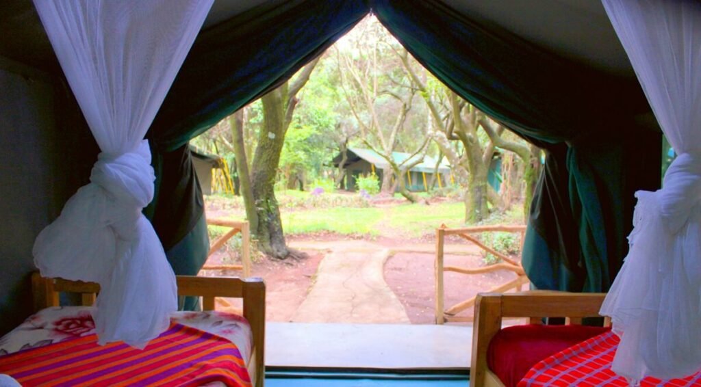 View from an Olailepo Mara Camp twin tent towards shaded camp paths