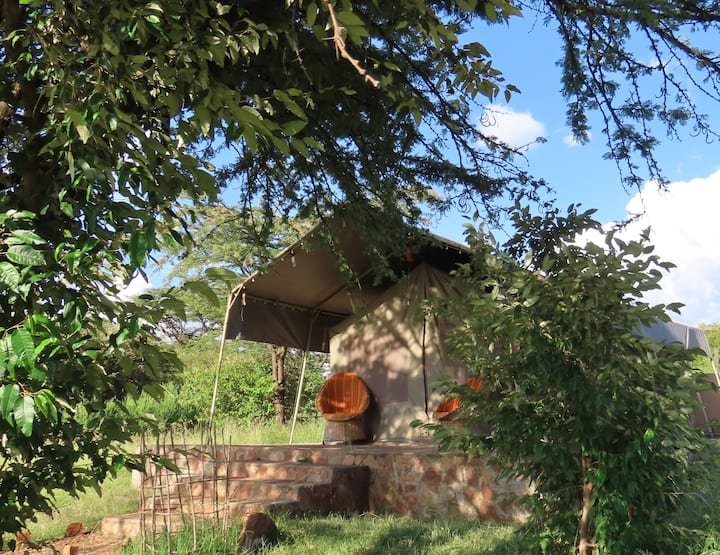 Oseki Mara Camp safari tent beneath trees