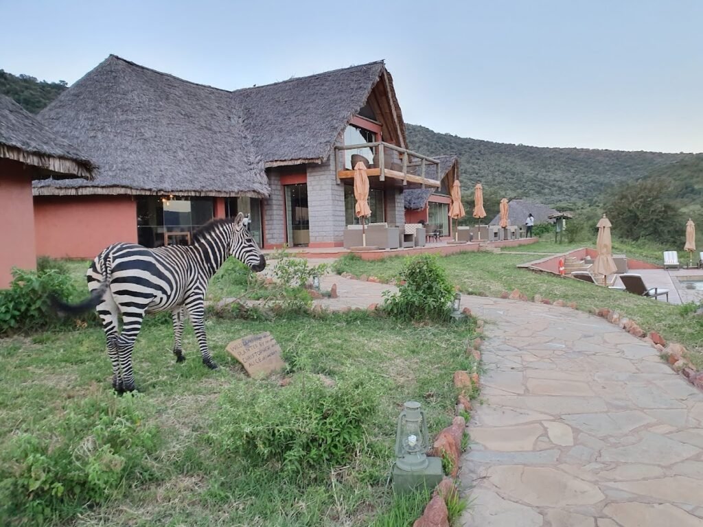 Thatched main lodge and paved garden path at Ososian Mara Lodge