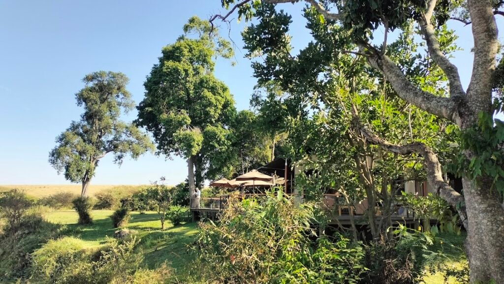 Maasai Mara lodges and camps 104 Rekero Camp wooden deck overlooking the Talek River