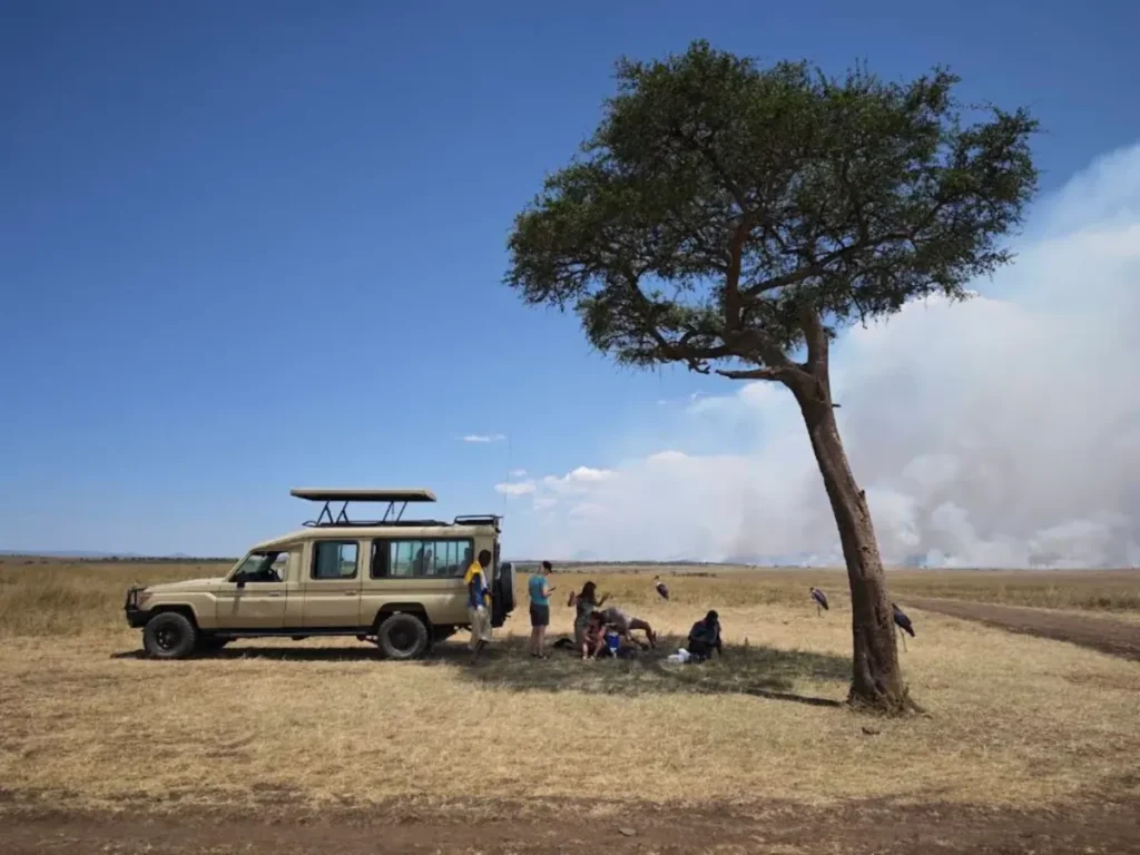 Land Cruiser Hire in Maasai Mara with a Professional Guide 6 A safari vehicle parked beside a broad-canopied tree