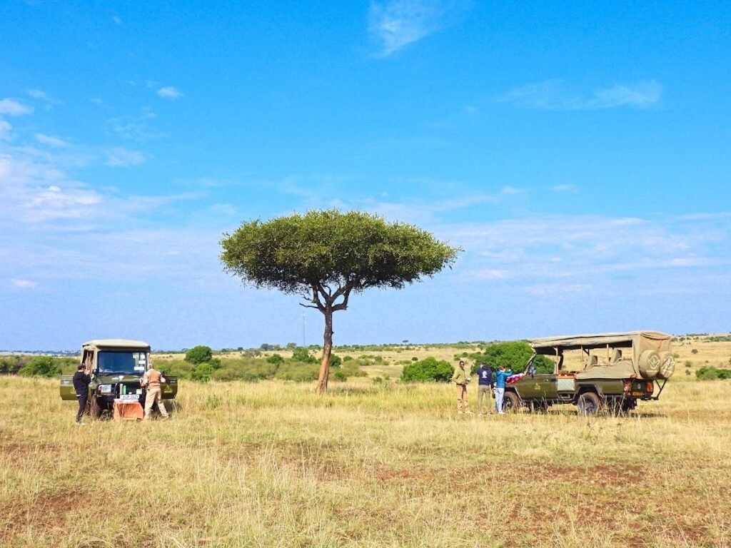 Illustrative Maasai Mara game-drive vehicles on the plains, not Sarova Mara camp grounds or a guaranteed booked vehicle