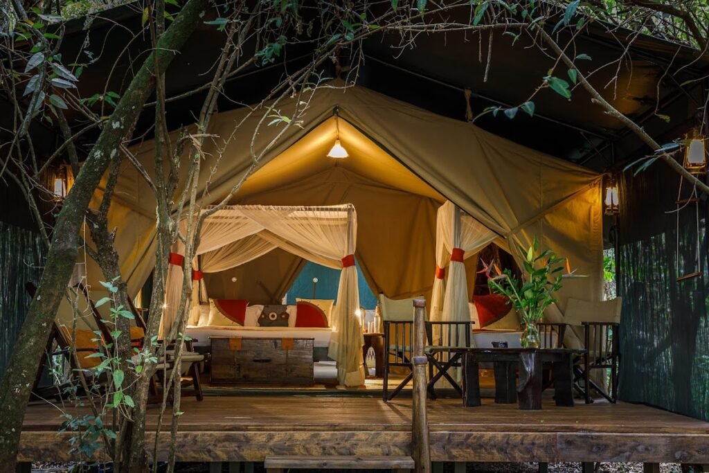 Maasai Mara lodges and camps 57 Soroi Mara Bush Camp standard canvas tent with netted king bed, wooden chest and raised timber veranda