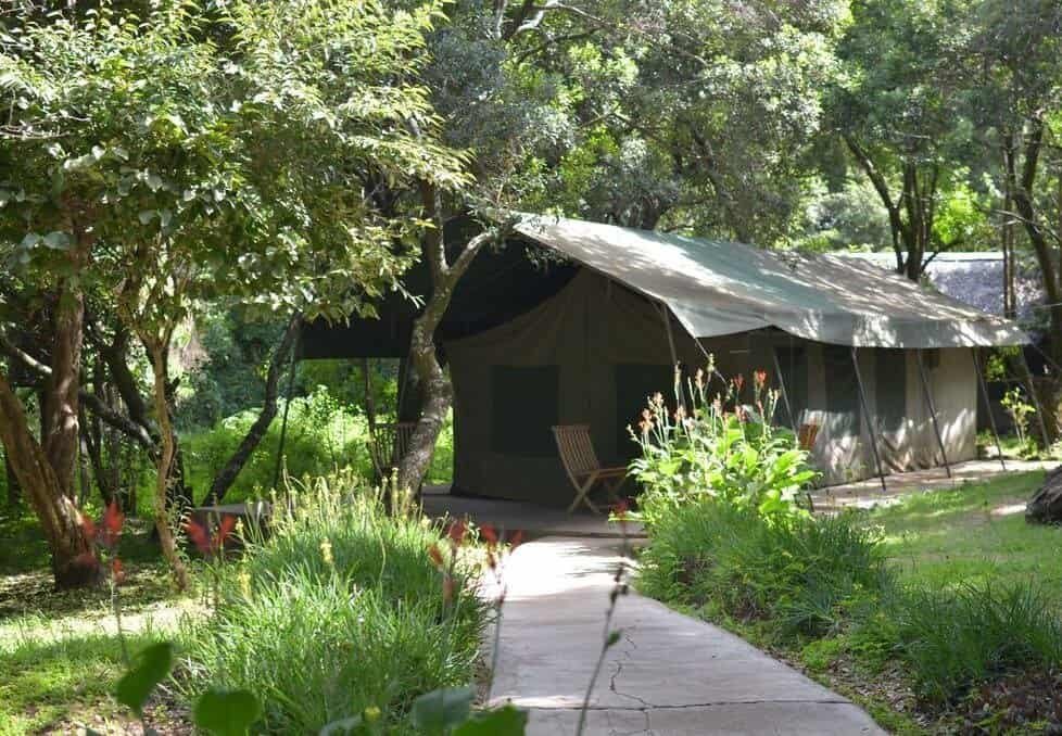 A canvas tent beneath leafy trees at Mara Sidai Camp
