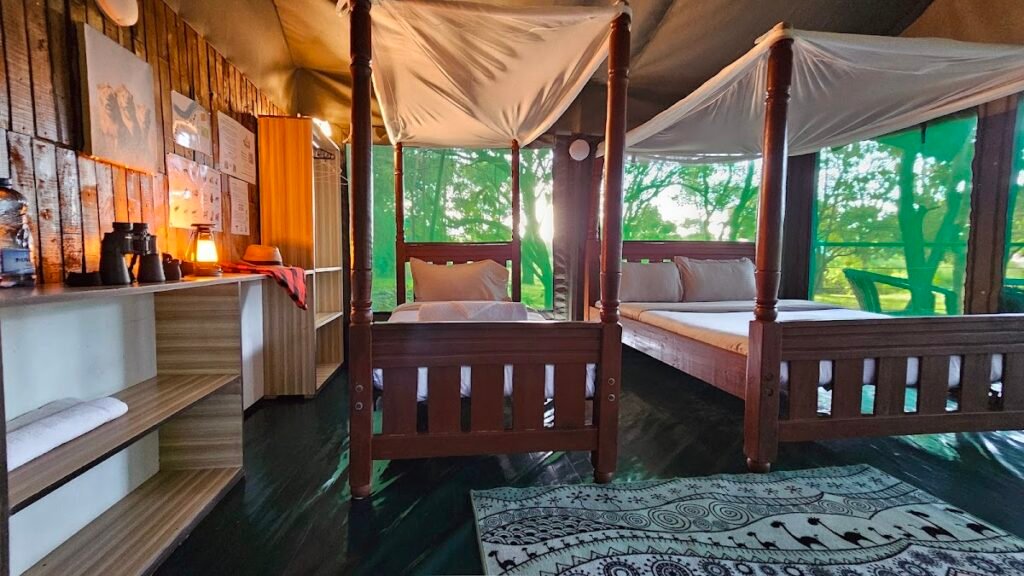 Maasai Mara lodges and camps 58 Talek Bush Camp Bush Tent interior with timber beds and green mesh windows